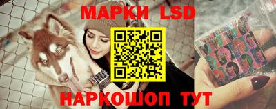 ГАЛЛЮЦИНОГЕННЫЕ ГРИБЫ Кингисепп
