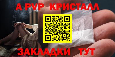 ГАЛЛЮЦИНОГЕННЫЕ ГРИБЫ Кингисепп