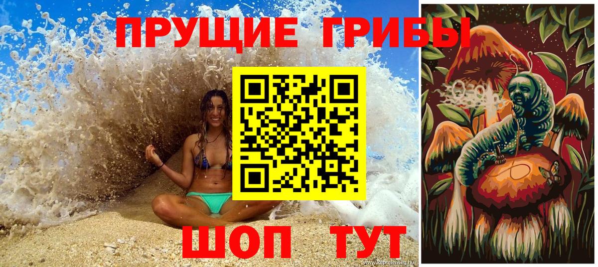 Тверь  Псилоцибиновые грибы мухоморы  Вход с VPN  Псилоцибиновые грибы MAGIC MUSHROOMS 